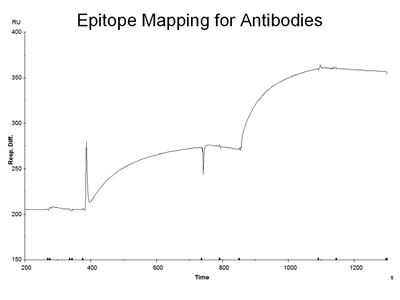 Epitope Mapping Sample